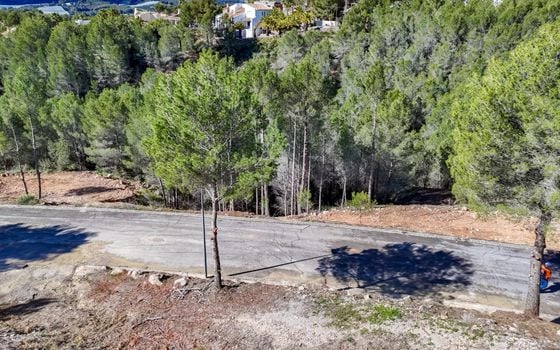 Parcela de  en Callosa de Ensarriá- ICB143628 - Foto - 4