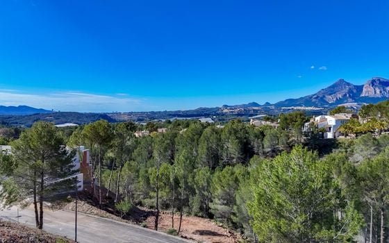 Parcela de  en Callosa de Ensarriá- ICB143628 - Foto - 5