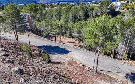 Parcela de  en Callosa de Ensarriá- ICB143628 - Foto - 3