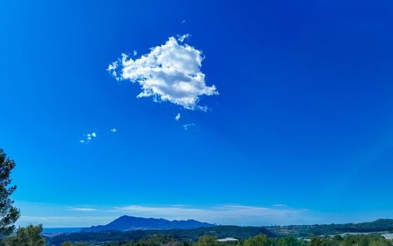 Terrain de  à Callosa de Ensarriá- ICB143628 - Photo - Small - 17