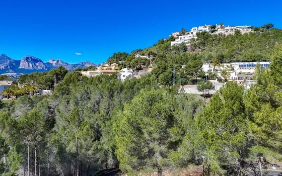 Terrain de  à Callosa de Ensarriá- ICB143628 - Photo - Small - 11