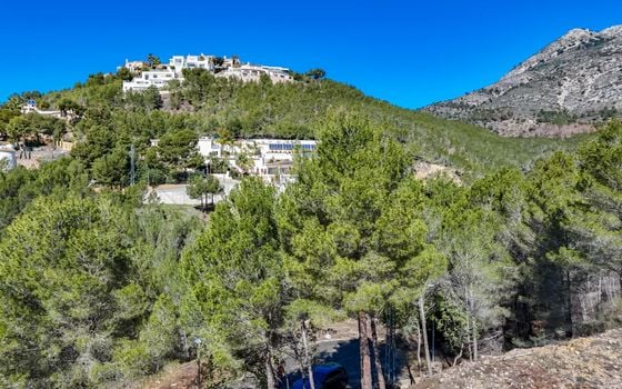 Terrain de  à Callosa de Ensarriá- ICB143628 - Photo - Small - 10