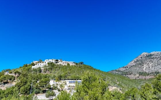 Terrain de  à Callosa de Ensarriá- ICB143628 - Photo - Small - 12