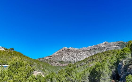 Terrain de  à Callosa de Ensarriá- ICB143628 - Photo - Small - 14