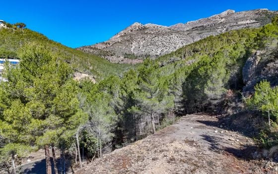 Parcela de  en Callosa de Ensarriá- ICB143628 - Foto - 2