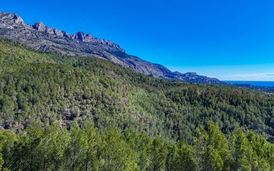 Terrain de  à Callosa de Ensarriá- ICB143629 - Photo - Small - 6
