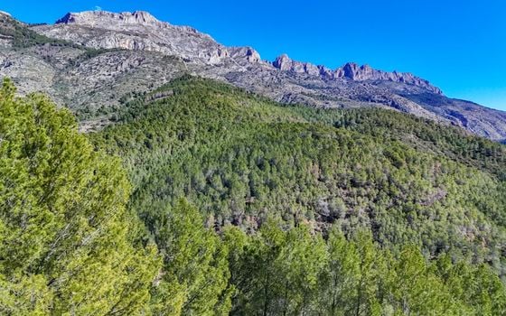 Terrain de  à Callosa de Ensarriá- ICB143629 - Photo - Small - 7