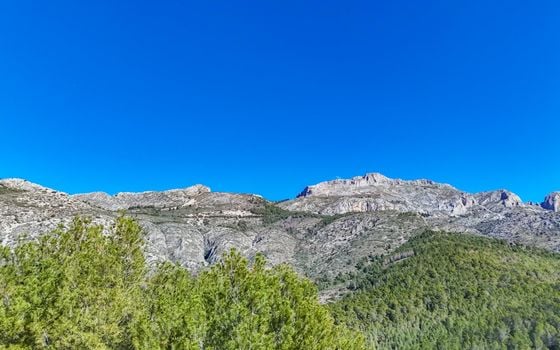 Terrain de  à Callosa de Ensarriá- ICB143629 - Photo - Small - 9