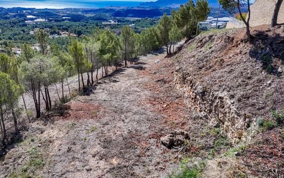 Terrain de  à Callosa de Ensarriá- ICB143629 - Photo - Small - 11