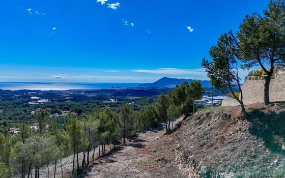 Terrain de  à Callosa de Ensarriá- ICB143629 - Photo - Small - 12