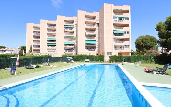 3 bedroom Apartment in Orihuela Costa - CSH143715 - Photo - Small - 15