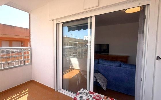 3 bedroom Penthouse in Torrevieja - SV143753 - Photo - Small - 19
