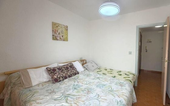 3 bedroom Penthouse in Torrevieja - SV143753 - Photo - Small - 10