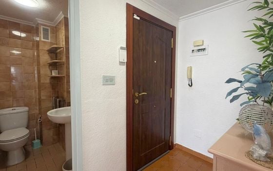 3 bedroom Penthouse in Torrevieja - SV143753 - Photo - Small - 18