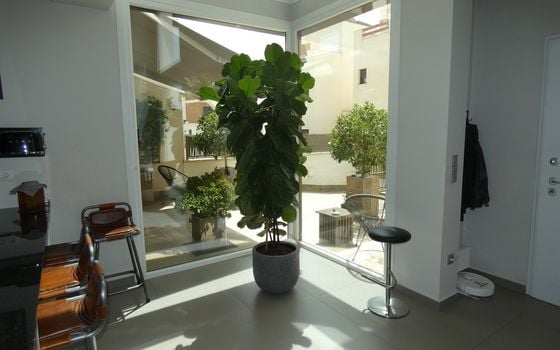 3 bedroom Villa in Ciudad Quesada - CSP143789 - Photo - Small - 9