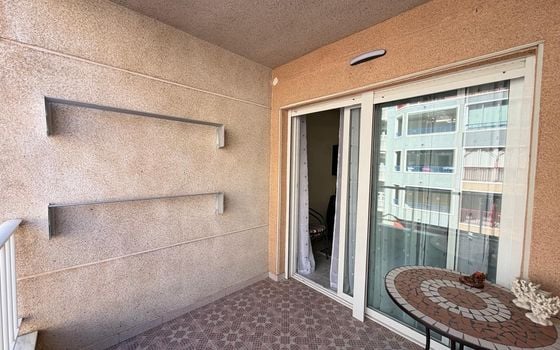 Appartement de 3 chambres à Torrevieja - SV143903 - Photo - Small - 24