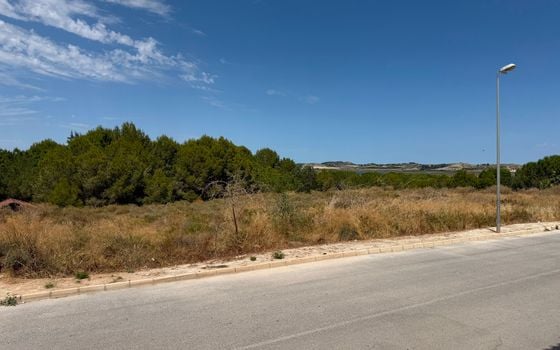 2 bedroom Townhouse in Torremendo - CSW143980 - Photo - Small - 19