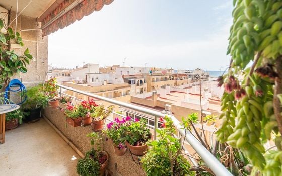 Appartement de 3 chambres à Torrevieja - RPF144136 - Photo - Small - 11