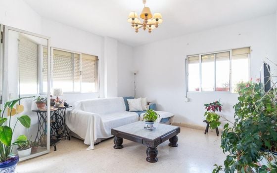 Apartament w Torrevieja, 3 sypialnie - RPF144136 - Zdjęcie - 2