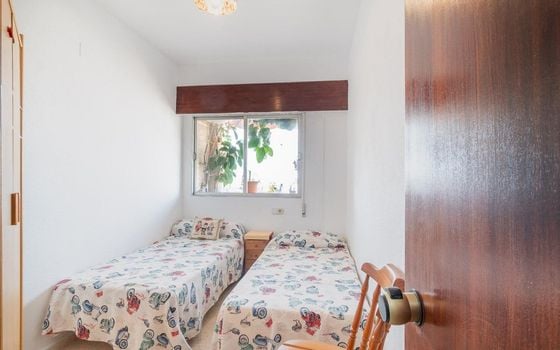 Appartement de 3 chambres à Torrevieja - RPF144136 - Photo - Small - 8