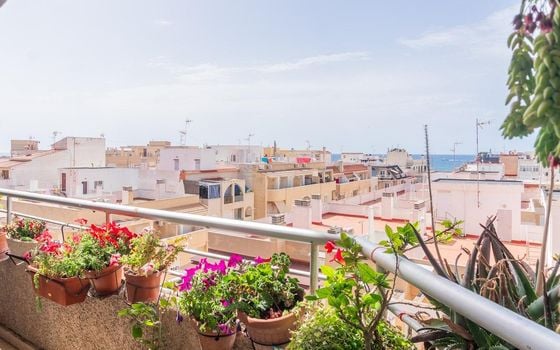 Appartement de 3 chambres à Torrevieja - RPF144136 - Photo - Small - 13