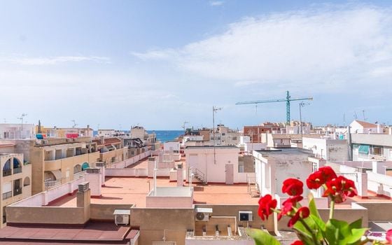 Appartement de 3 chambres à Torrevieja - RPF144136 - Photo - Small - 14
