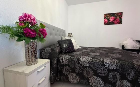 1 bedroom Apartment in Torrevieja - CT144374 - Photo - Small - 11