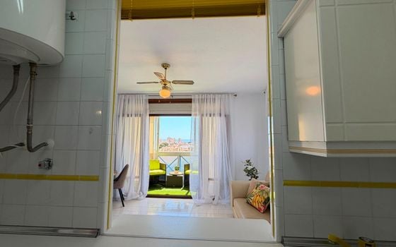 1 bedroom Apartment in Torrevieja - CT144374 - Photo - Small - 7
