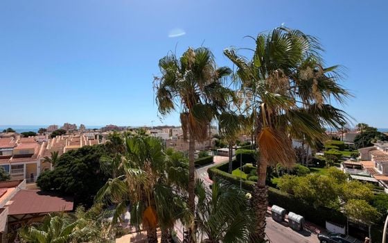 1 bedroom Apartment in Torrevieja - CT144374 - Photo - Small - 20