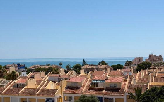 1 bedroom Apartment in Torrevieja - CT144374 - Photo - Small - 23