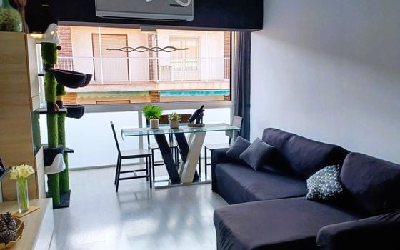 3 bedroom Penthouse in Pilar de la Horadada - CRR144572 - Photo - 2
