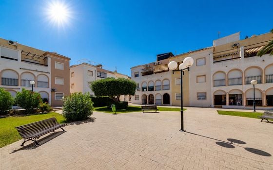2 bedroom Bungalow in Torrevieja - TIM144653 - Photo - Small - 25