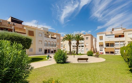 2 bedroom Bungalow in Torrevieja - TIM144653 - Photo - Small - 28