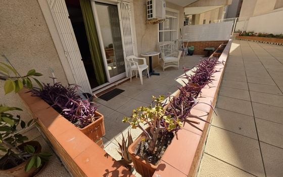 Apartament w Torrevieja, 1 sypialnie - VEC144682 - Zdjęcie - 4