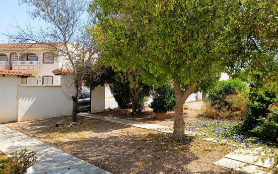 Townhouse de 1 chambre à Torrevieja - CRR144769 - Photo - Small - 23