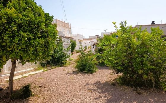 Townhouse de 1 chambre à Torrevieja - CRR144769 - Photo - Small - 24