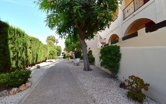 2 bedroom Apartment in Playa Flamenca - VRE144773 - Photo - Small - 19