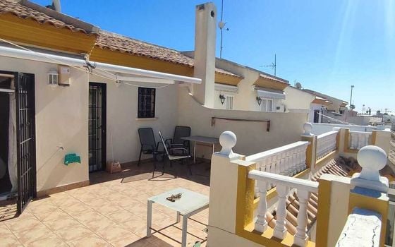 3 bedroom Villa in Playa Flamenca - SMS144781 - Photo - Small - 12