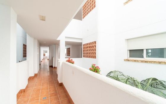 2 bedroom Apartment in Villamartin - IMO144874 - Photo - Small - 19