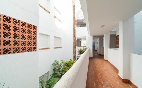 2 bedroom Apartment in Villamartin - IMO144874 - Photo - Small - 18