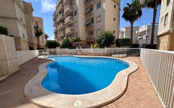 2 bedroom Apartment in Torrevieja - CT145061 - Photo - Small - 23