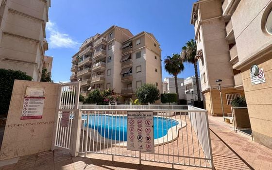 2 bedroom Apartment in Torrevieja - CT145061 - Photo - Small - 25