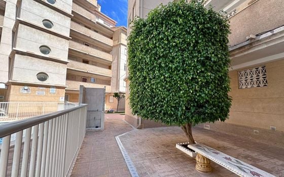 2 bedroom Apartment in Torrevieja - CT145061 - Photo - Small - 27