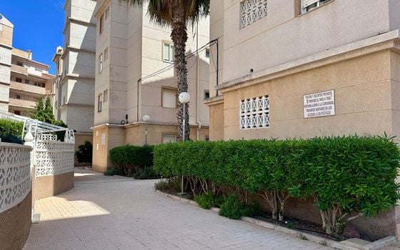 2 bedroom Apartment in Torrevieja - CT145061 - Photo - Small - 28