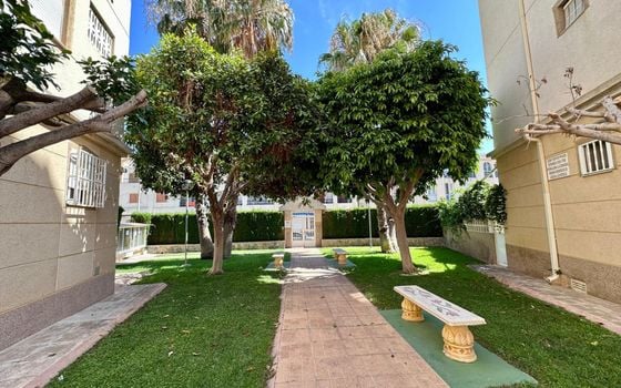 2 bedroom Apartment in Torrevieja - CT145061 - Photo - Small - 26
