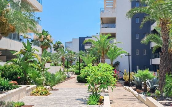 Appartement de 3 chambres à Orihuela Costa - HO145166 - Photo - Small - 32