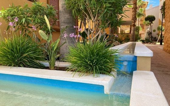 2 bedroom Apartment in Punta Prima - LR145193 - Photo - Small - 17