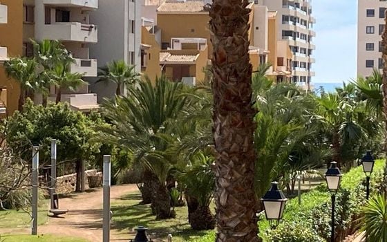 2 bedroom Apartment in Punta Prima - LR145193 - Photo - Small - 19