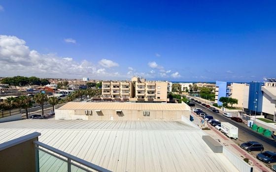 2 bedroom Penthouse in Orihuela Costa - CSH145307 - Photo - Small - 11