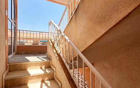 2 bedroom Bungalow in Torrevieja - FPS145386 - Photo - Small - 17
